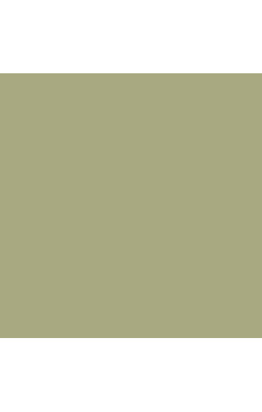 Eden Olive Top
