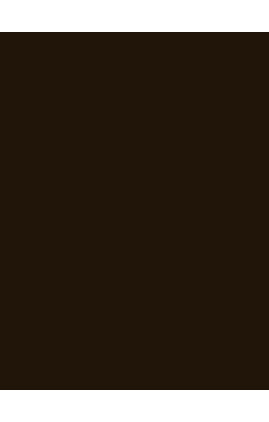 Serena Low Waist Brown Pant