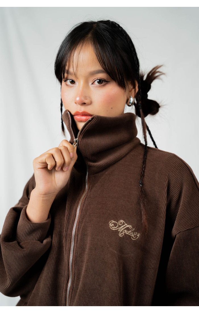 Celine Brown High Neck Zip Sweater